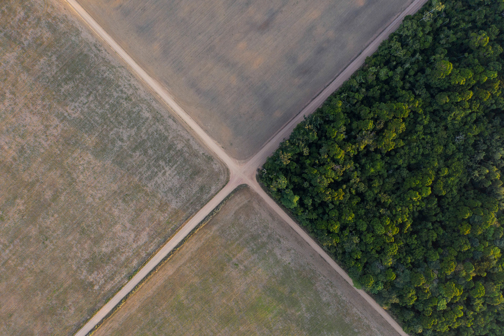FILE - A section of the Amazon rainforest stands next to soy fields in Belterra, Para state, Brazil, on Nov. 30, 2019. (AP Photo/Leo Correa, File)