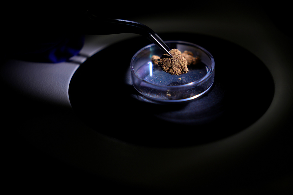 A forensic expert handles a gold-bearing sample during analysis at the National Institute of Criminalistics in Brasilia, Brazil, Monday, July 13, 2026. (AP Photo/Eraldo Peres)