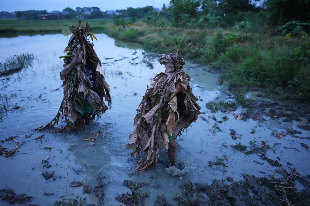 Catholic devotees cover themselves with mud and dried banana leaves in a rice field during the mud people festival on the feast day of Saint John the Baptist at Bibiclat, Nueva Ecija province, northern Philippines on Wednesday, June 24, 2026. (AP Photo/Aaron Favila)
