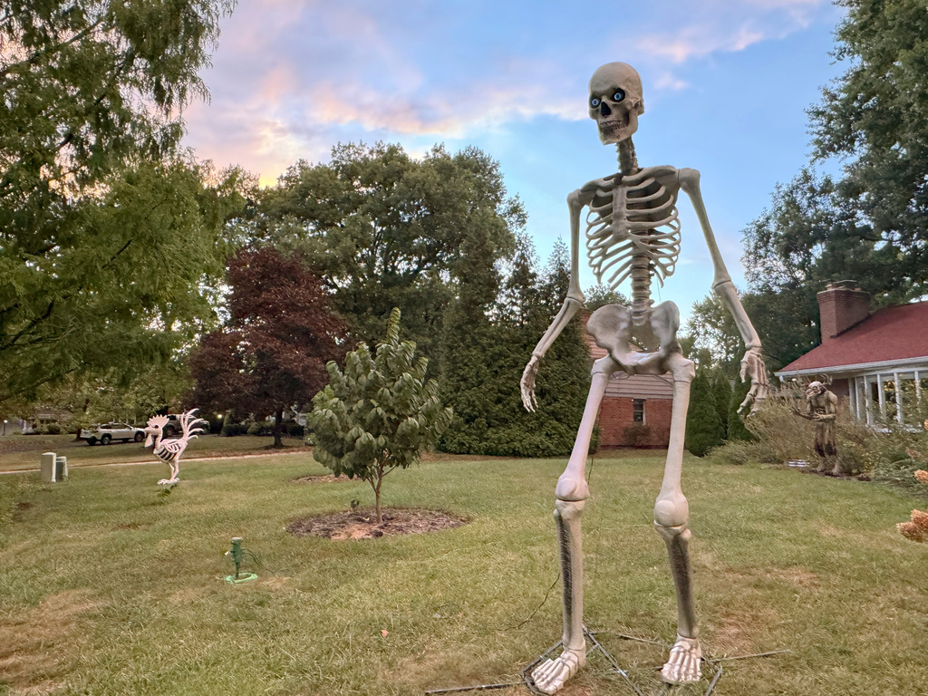 FILE - A 12-foot Home Depot skeleton stands in the front yard of a Cincinnati home on Sept. 24, 2024. (AP Photo/Sallee Ann Harrison, File)