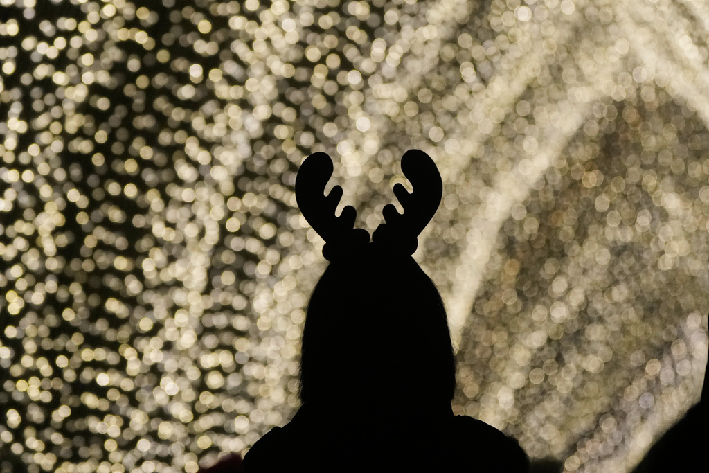 A woman walks through the San Francisco Botanical Garden's Winter Cathedral exhibit for Lightscape at Golden Gate Park in San Francisco, Wednesday, Dec. 17, 2025. (AP Photo/Jeff Chiu)