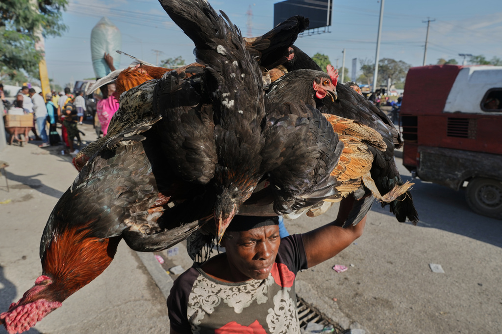 A woman carries a basket of chickens on her head on a street in Port-au-Prince, Haiti, Tuesday, Feb. 24, 2026. (AP Photo/Odelyn Joseph)