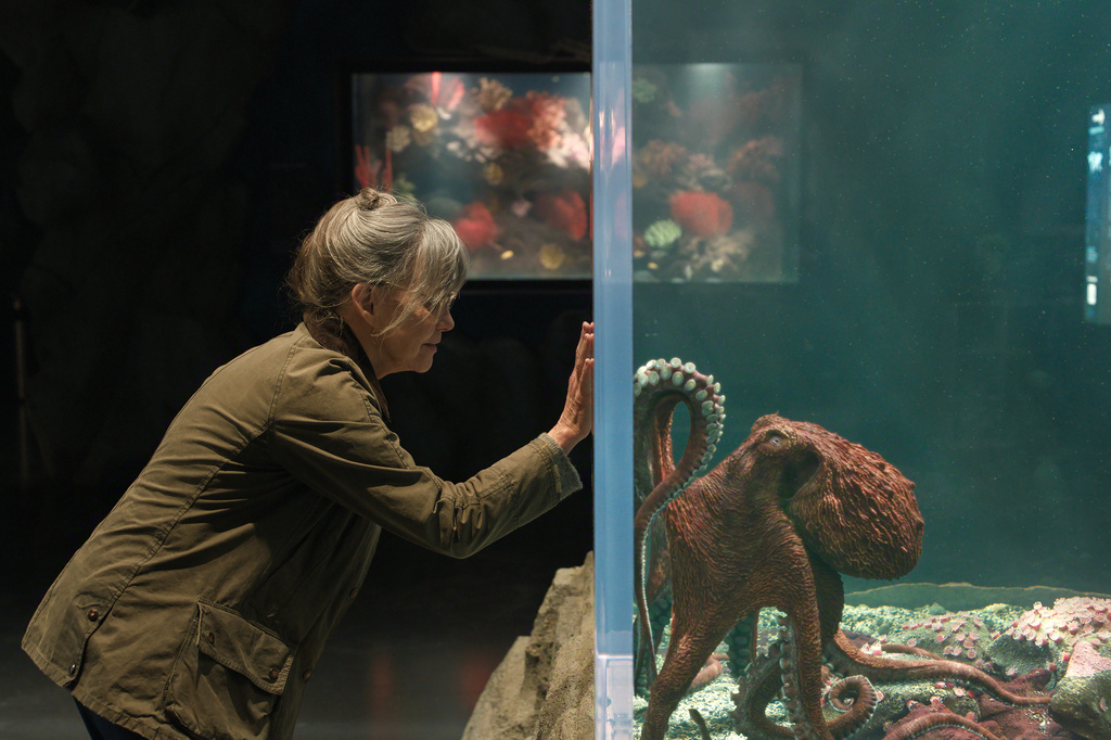 This image released by Netflix shows Sally Field in a scene from "Remarkably Bright Creatures." (Netflix via AP)