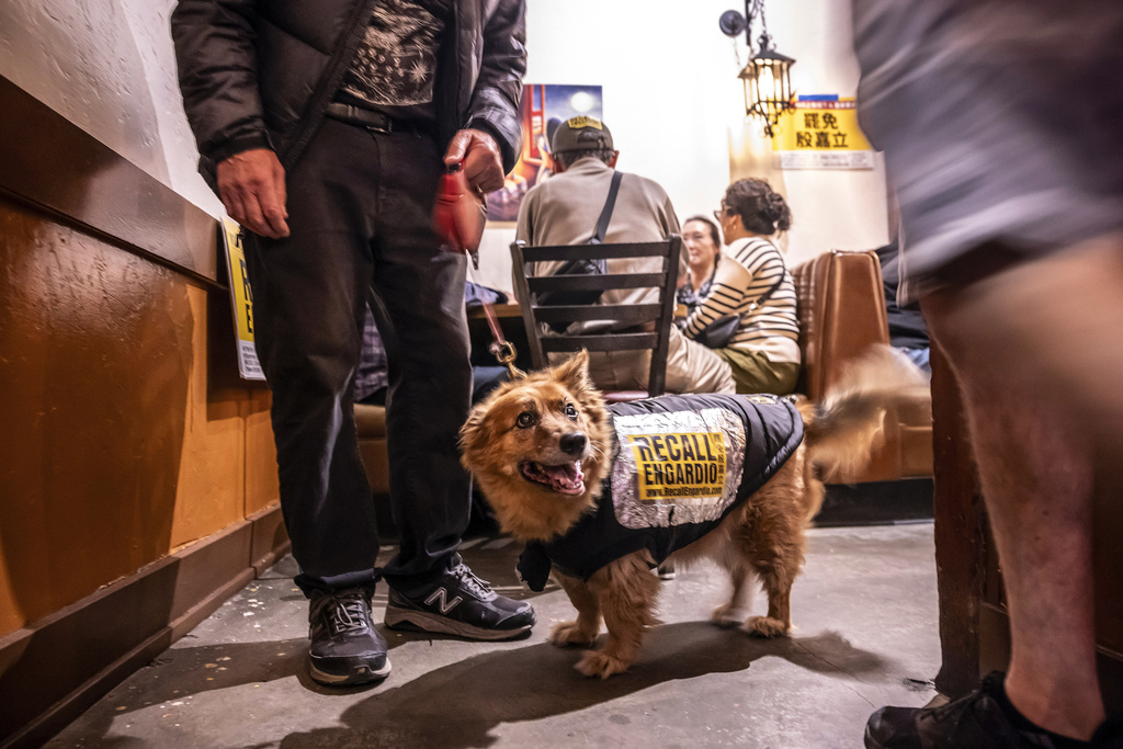 Layla wears a Recall Engardio sign as she attends the gathering with her owner Greg Landtbom as supporters of Measure A campaign gathered to hear results of the measure to recall Supervisor Joel Engardio at Celia's restaurant in San Francisco, on Tuesday, Sept. 16, 2025. (Carlos Avila Gonzalez/San Francisco Chronicle via AP)
