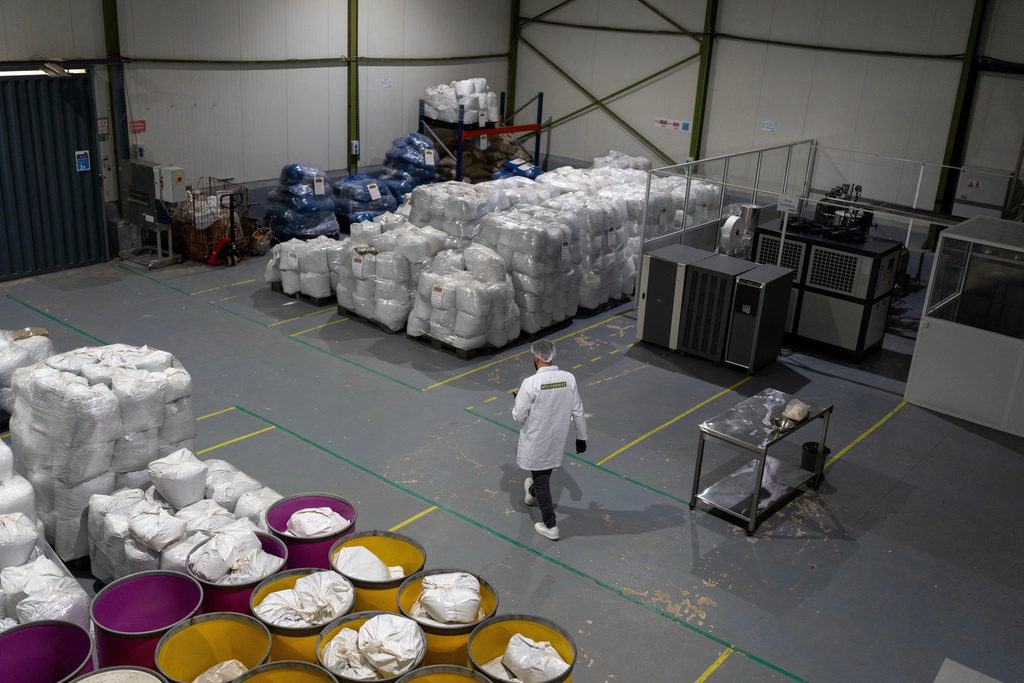 A worker walks inside a cooperative that is licensed to produce and sell CBD and medicinal cannabis products, near Bab Berred, Chefchaouen, Morocco, Monday, Nov. 24, 2025. (AP Photo/Mosa'ab Elshamy)