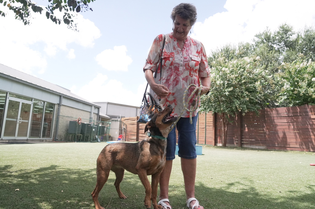 Kimberly Rorabaugh meets Veronica, who had been up for adoption for five months at the Humane Society in Houston, Friday, Aug. 14, 2026. (AP Photo/Lekan Oyekanmi)