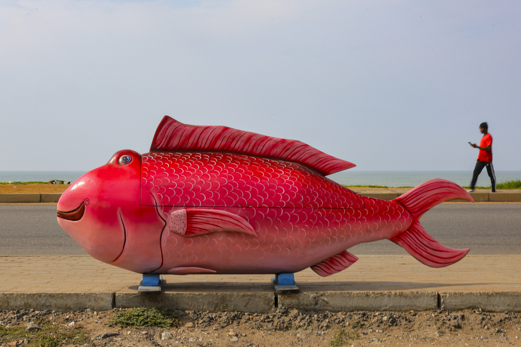 A fish fantasy coffin crafted by Eric Kpakpo Adotey is displayed by the roadside in La, Accra, Ghana, Friday, July 25, 2025. (AP Photo/Misper Apawu)