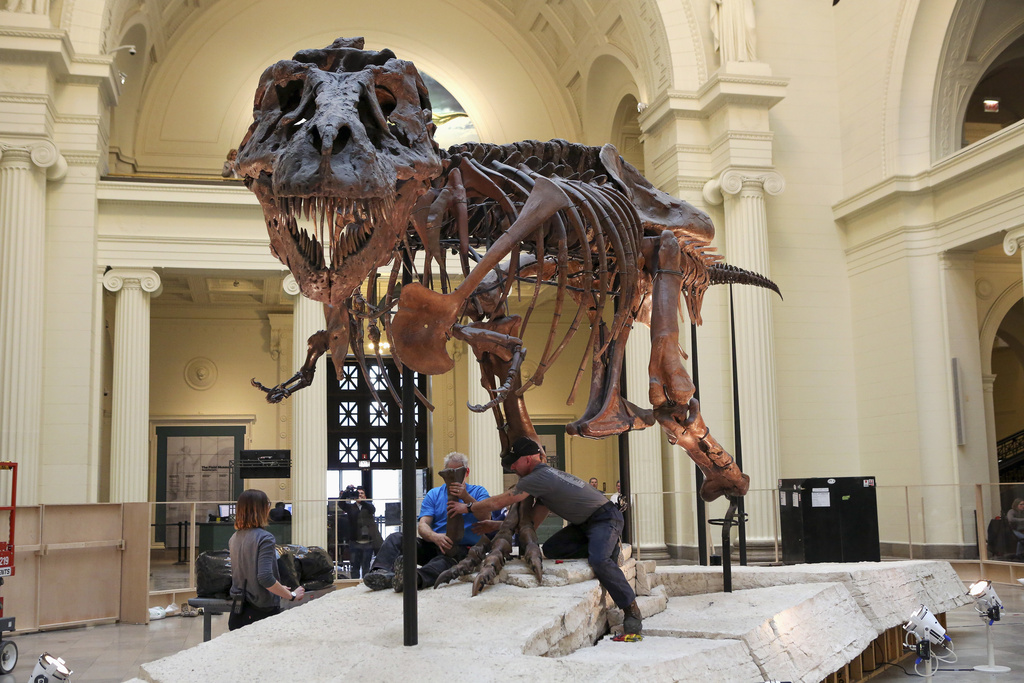 Inheritance money in dispute after death of woman who made millions off sale of T-rex remains - Vimarsana News