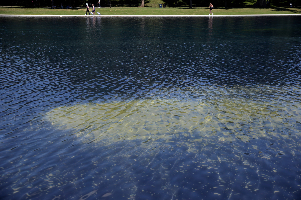Peeling is seen in the blue coating on the bottom of the Lincoln Memorial Reflecting Pool, Wednesday, June 24, 2026, in Washington. (AP Photo/Rahmat Gul)