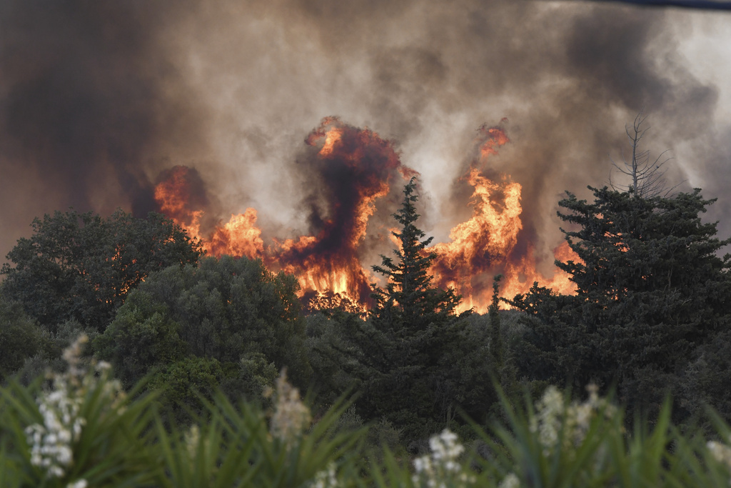Blazes burn trees during a wildfire in the village of Theriano near Patras city, western Greece, Tuesday, Aug. 12, 2025. (AP Photo/Giannis Androutsopoulos)