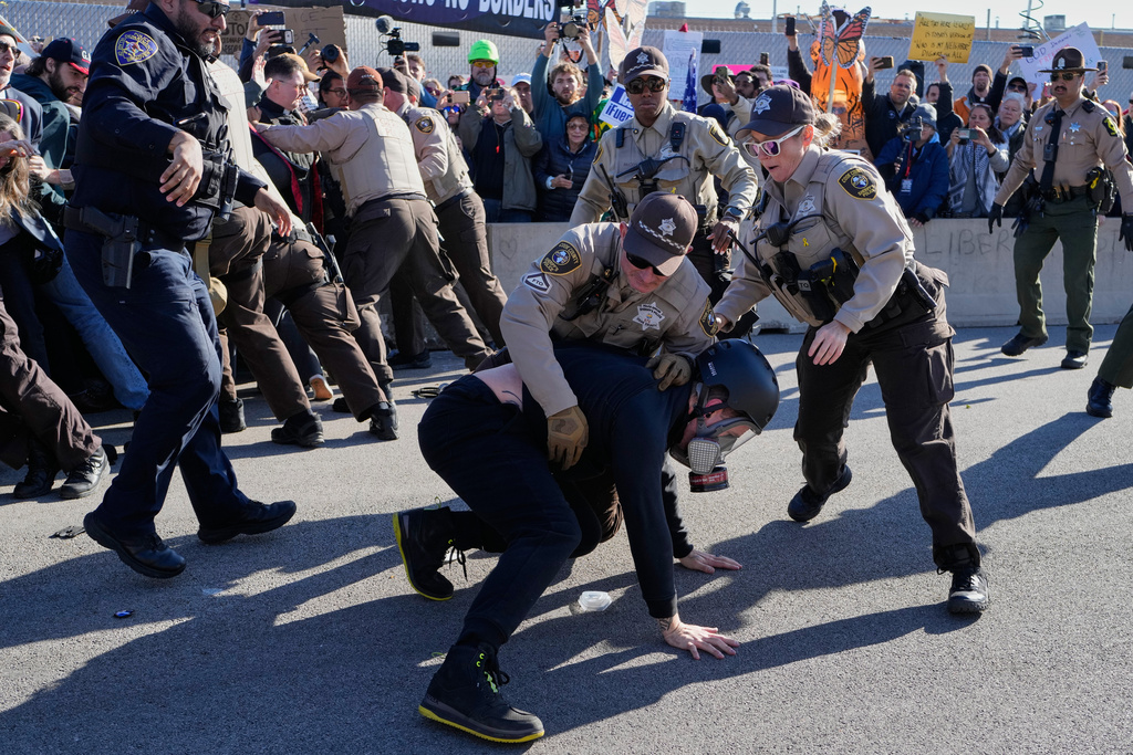 Cook County Sheriff Police detain a protester outside an ICE processing facility in the Chicago suburb of Broadview, Ill., Friday, Nov. 14, 2025. (AP Photo/Nam Y. Huh)
