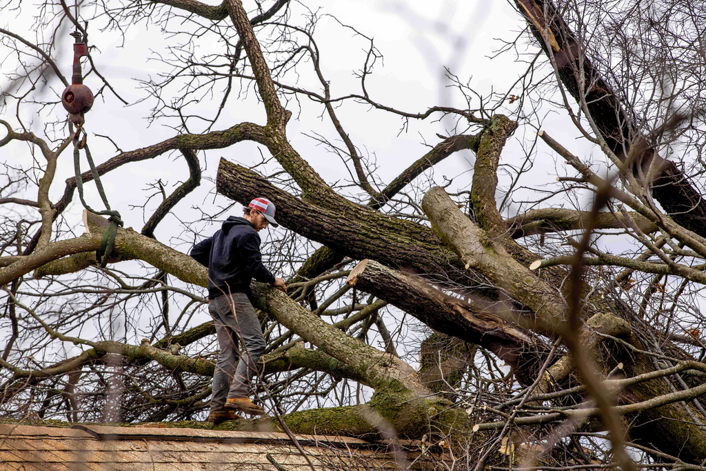 A man clears tree branches from a rooftop in the neighborhood of Tuttle Park Drive after a tornado in Union City, Mich., on Saturday, March 7, 2026. (Devin Anderson-Torrez/MLive via AP)