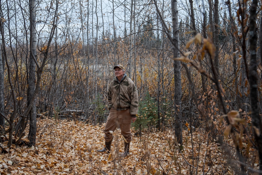 Nick Jans, an author who moved to Ambler, Alaska, in 1979, walks through the woods outside his home Monday, Sept. 29, 2025. (AP Photo/Annika Hammerschlag)
