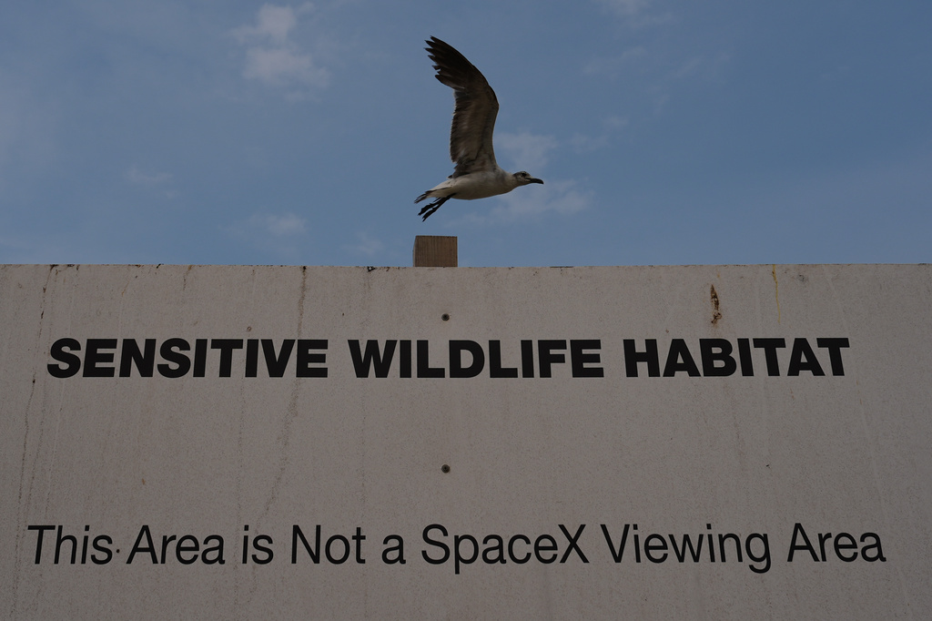 A seagull passes a sign near the SpaceX mega rocket Starship launch pads as they are prepared for an upcoming test flight from Starbase, Texas, Monday, May 18, 2026. (AP Photo/Eric Gay)