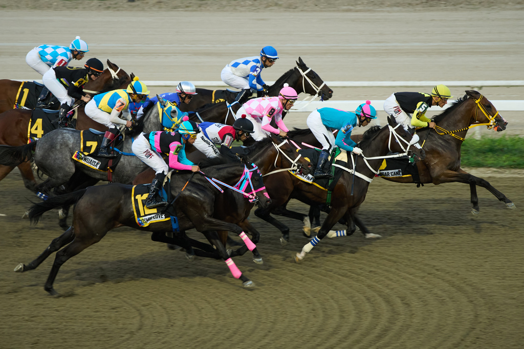 Jockeys race during the 56th Jockey Challenge at the Rinconada racetrack in Caracas, Venezuela, Sunday, Dec. 14, 2025. (AP Photo/Arian Cubillos)