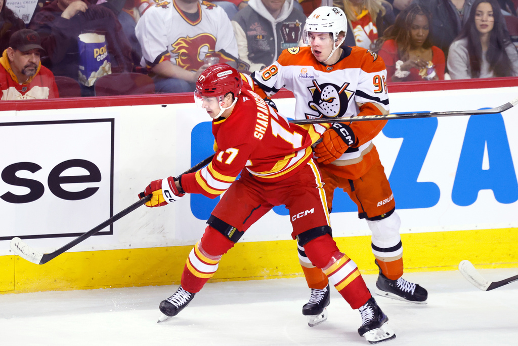 Anaheim Ducks' Pavel Mintyukov (98) and Calgary Flames' Yegor Sharangovich, left, vie for control of the puck during first-period NHL hockey game action in Calgary, Alberta, Sunday, Jan. 25, 2026. (Larry MacDougal/The Canadian Press via AP)