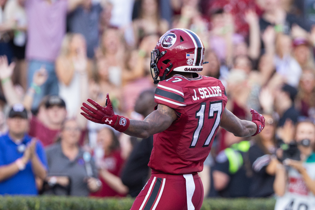 South Carolina wide receiver Jayden Sellers (17) celebrates after a touchdown against the Coastal Carolina during the first half of an NCAA college football game, Saturday, Nov. 22, 2025, in Columbia, S.C. (AP Photo/Scott Kinser)