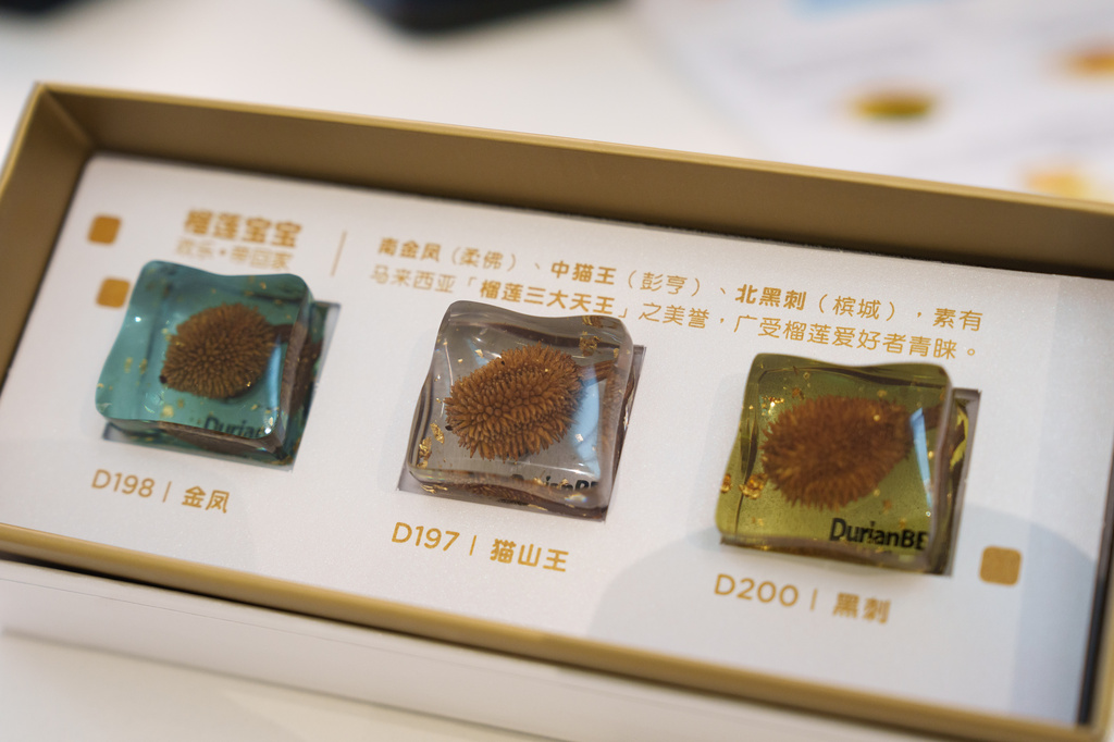 Preserved seeds from different durian varieties are displayed at BBDurian in Kuala Lumpur, Malaysia, Thursday, June 25, 2026. (AP Photo/Vincent Thian)