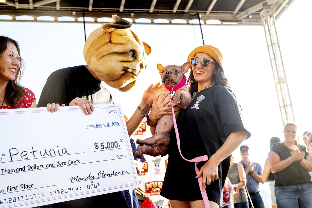 Petunia and owner Shannon Nyman, right, celebrate winning first place in the World's Ugliest Dog Contest at the Sonoma County Fair in Santa Rosa, Calif., on Friday, Aug. 8, 2025. (AP Photo/Noah Berger)
