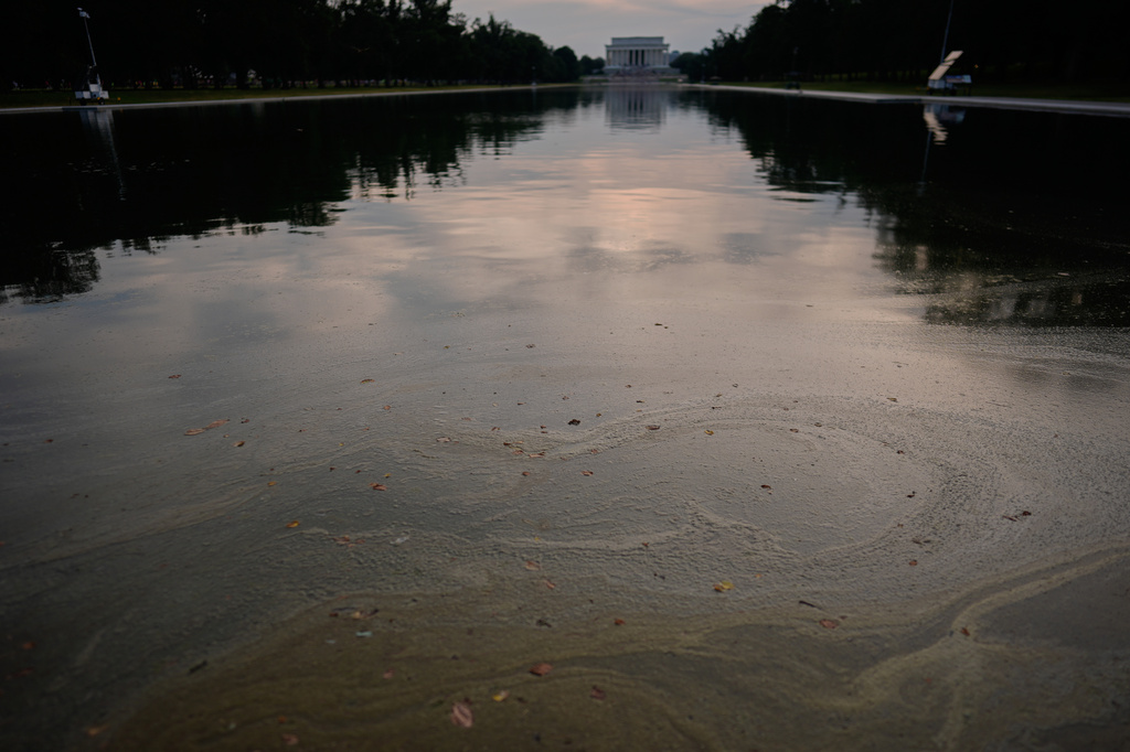 The Lincoln Memorial is seen in the distance as a film and debris float atop the water in an area of the Lincoln Memorial Reflecting Pool Thursday, June 25, 2026, in Washington. (AP Photo/Carolyn Kaster)