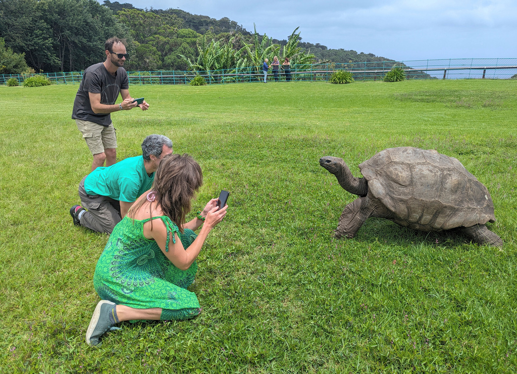 FILE - Tourists take photos of Jonathan, a then 192-year-old tortoise, on the lawn of Plantation House in Jamestown on the South Atlantic island of St. Helena, Feb. 22, 2024. (AP Photo/Nicole Evatt, File)