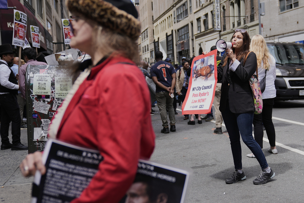 Edita Birnkrant, executive director of NYCLASS, right, an anti-horse carriage organization, shows up to a rally held by carriage drivers and their supporters in New York, Tuesday, Aug. 19, 2025. (AP Photo/Seth Wenig)
