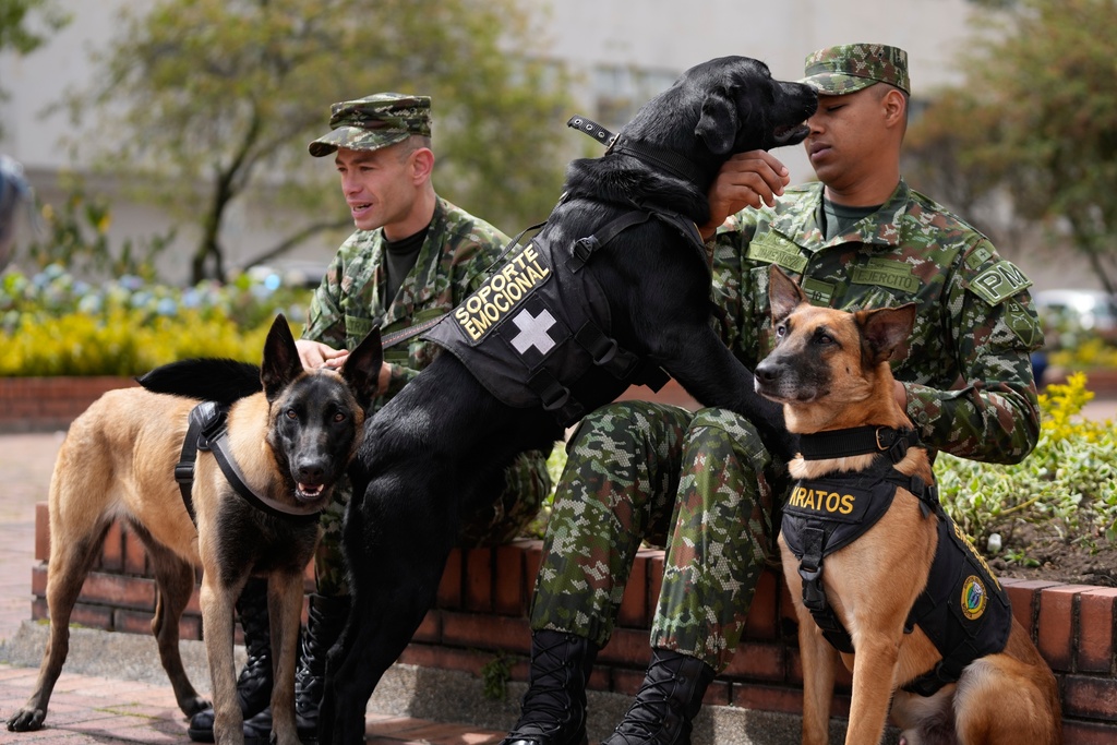 Emotional support dogs and their guides wait outside the military hospital before visiting wounded soldiers in Bogota, Colombia, Thursday, Oct. 2, 2025. (AP Photo/Fernando Vergara)