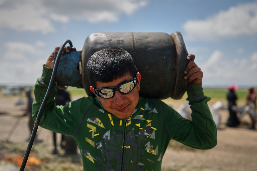 A worker carries a gas cylinder used to fuel burners that roast green wheat to produce freekeh, a roasted green wheat grain widely used in Levantine cuisine and made by harvesting immature wheat and roasting it over open flames to separate and preserve the grains, on the outskirts of Taftanaz, northwestern Syria, Sunday, May 24, 2026. (AP Photo/Ghaith Alsayed)