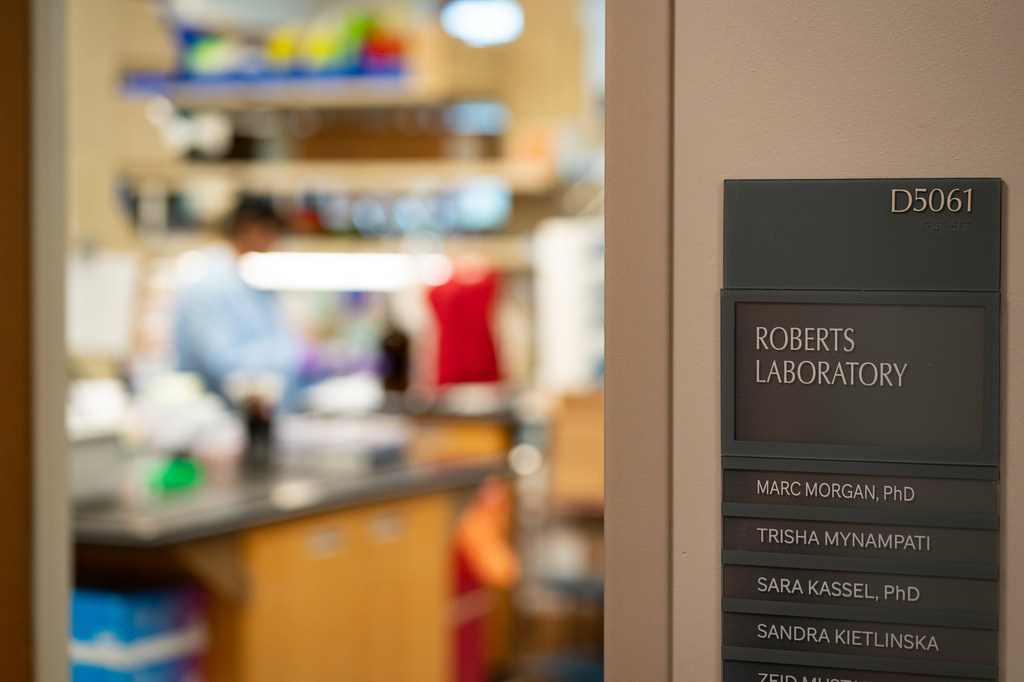 The Roberts Laboratory is seen Monday, Aug. 17, 2026, in the Danny Thomas Research Center in Memphis, Tenn. (AP Photo/Kevin Wurm)