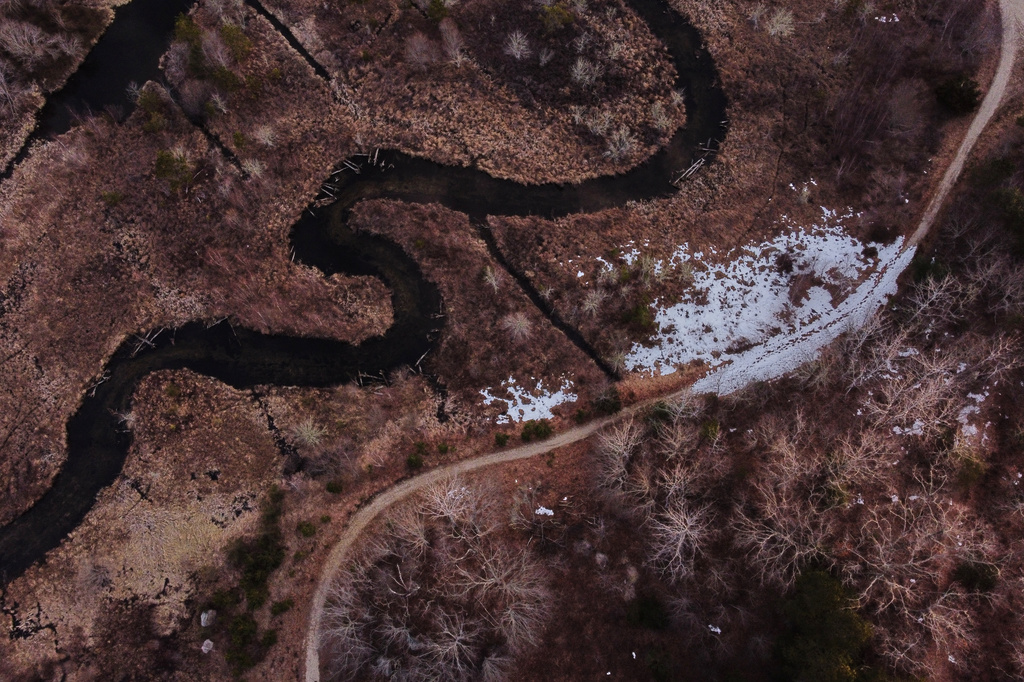 A stream runs through Tidmarsh Wildlife Sanctuary in Plymouth, Mass., Sunday, March 15, 2026. (Julia Vaz/MIT Graduate Program in Science Writing via AP)