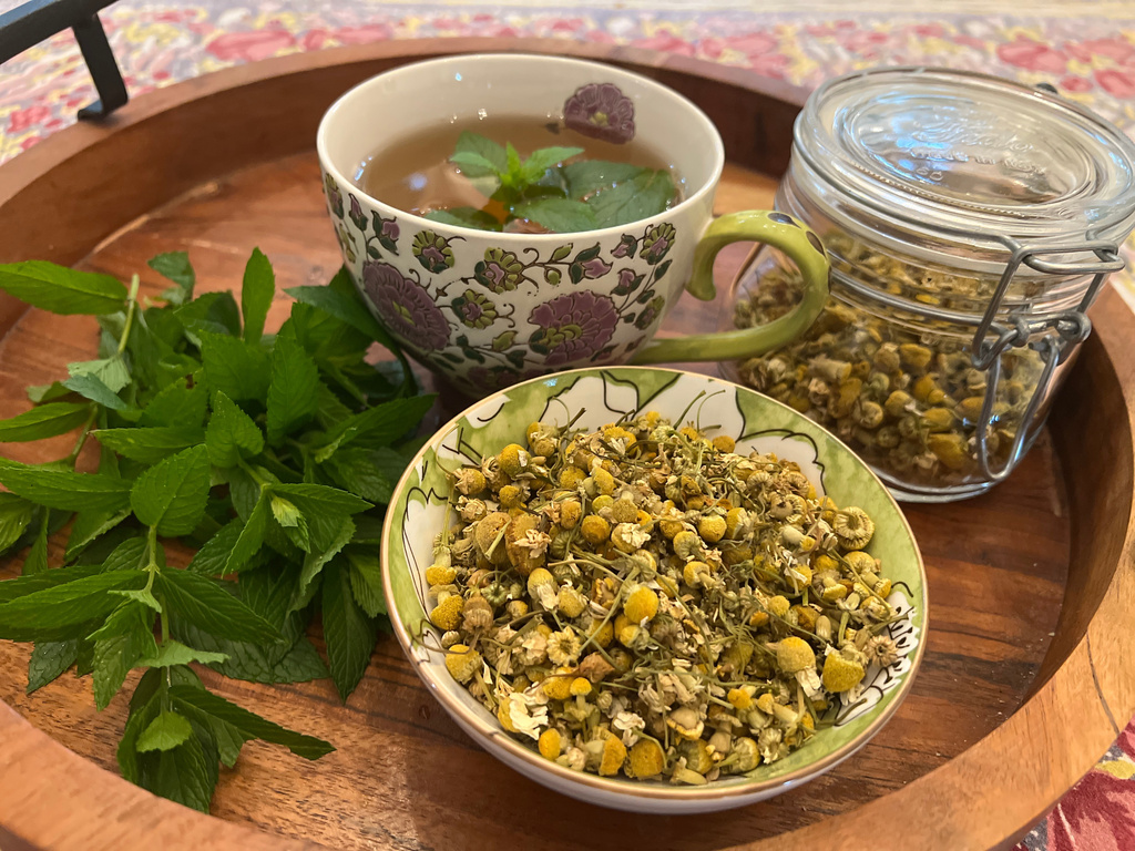 Freshly harvested spearmint leaves, dried chamomile flowers, and a cup of herbal tea are displayed on Long Island, N.Y. on June 15, 2026. (Jessica Damiano via AP)