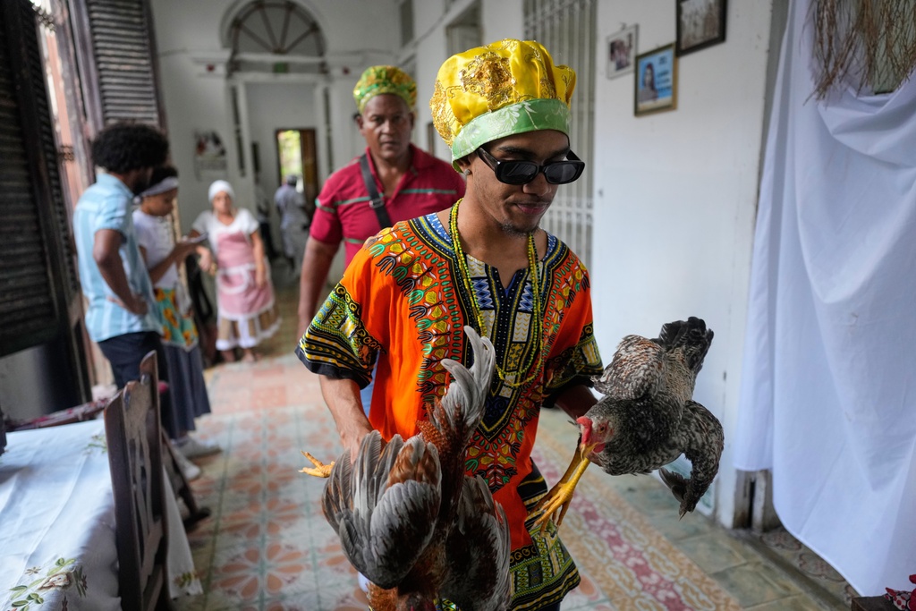 Santeria priests, also known as Babalawos, perform a cleansing ritual with roosters during a ceremony calling for peace and health in Havana, Sunday, Jan. 25, 2026. (AP Photo/Ramon Espinosa)