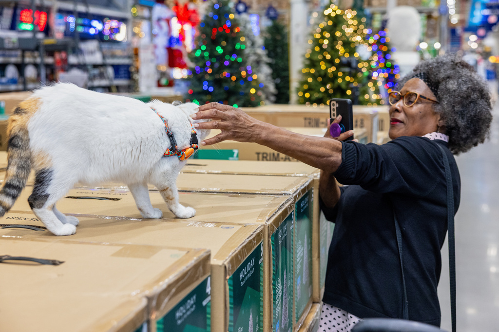 In this photo provided by Lowe's, a customer welcome back Francine, the store cat, on Tuesday, Oct. 7, 2025, after she disappeared unexpectedly in September, at the Richmond, Va., Lowe's. (Kevin Ridley/Lowe's via AP)