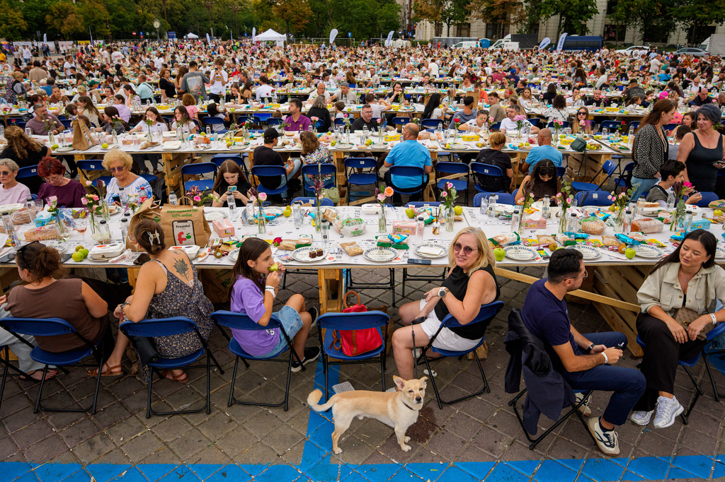 A dog stands next to people siting at a 5-kilometer (3.1 miles) long "Uniting Table", made from recycled materials, during a Guinness World Record event to raise money for a children's psychiatric facility, in Bucharest, Romania, Saturday, Sept. 12, 2026. (AP Photo/Andreea Alexandru)