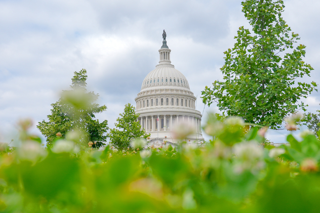 The U.S. Capitol is photographed, Monday, June 8, 2026, in Washington. (AP Photo/Mariam Zuhaib)