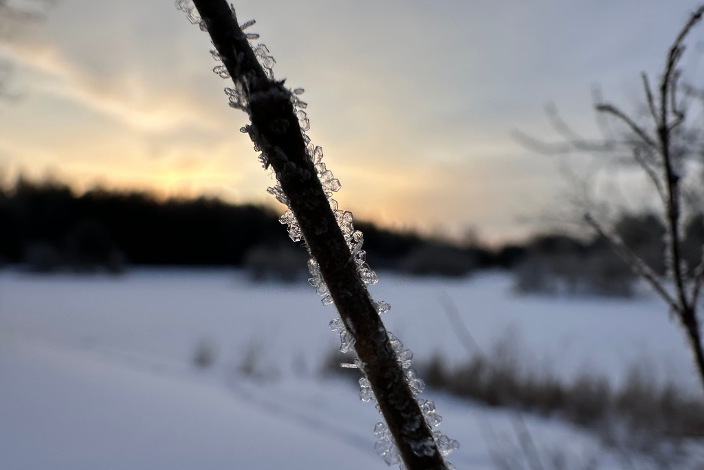 Ice crystals cover a branch at sunrise in Lowville, N.Y., on Sunday, Dec. 28, 2025. (AP Photo/Cara Anna)