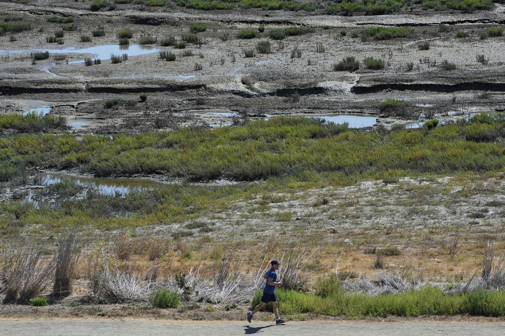 A man runs on a trail at Bedwell Bayfront Park as the Ravenswood Pond R4 is seen in the background, Thursday, Aug. 14, 2025, in Menlo Park, Calif. The pond is part of the South Bay Salt Pond Restoration Project. (AP Photo/Godofredo A. Vásquez)