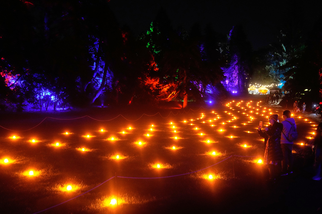 People look toward lights illuminating the San Francisco Botanical Garden's Fire Garden exhibit for Lightscape at Golden Gate Park in San Francisco, Wednesday, Dec. 17, 2025. (AP Photo/Jeff Chiu)