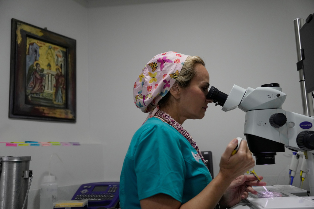 Rena Aggeli, a clinical embryologist, carries out an egg freezing procedure at a private IVF clinic in Athens, Greece, Friday, Sept. 11, 2026. (AP Photo/Thanassis Stavrakis)