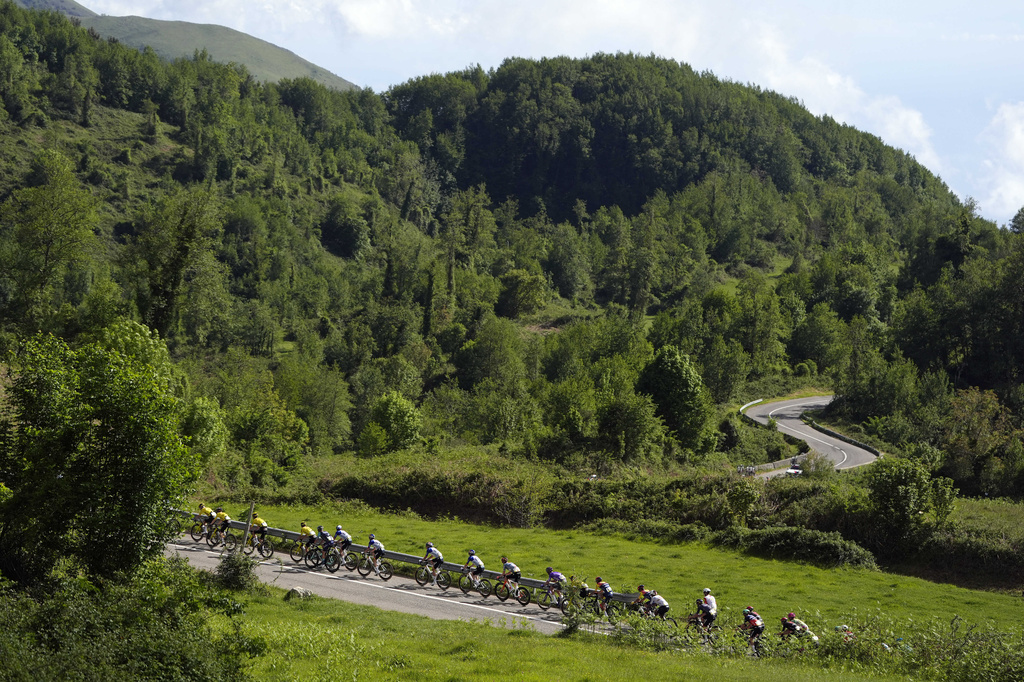 The pack rides during the 4th stage of the Giro d'Italia cycling race, from Catanzaro to Cosenza, Italy, Tuesday, May 12, 2026. (Fabio Ferrari/LaPresse via AP)