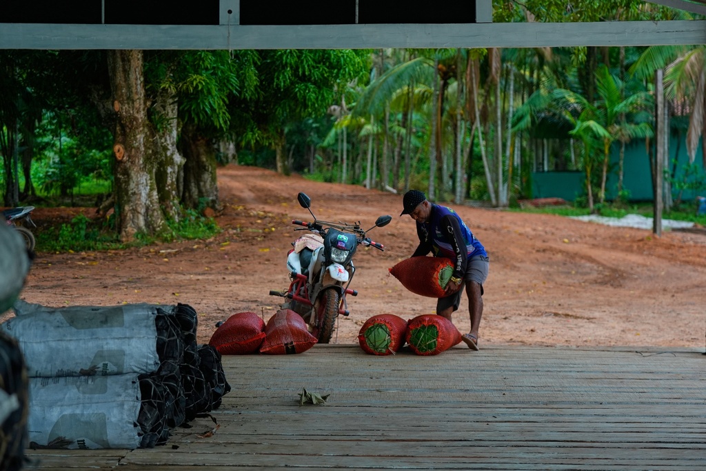 A man places sacks with acai at the port tarmac in Itacoa Miri, Brazil, Tuesday, Nov. 18, 2025. (AP Photo/Fernando Llano)
