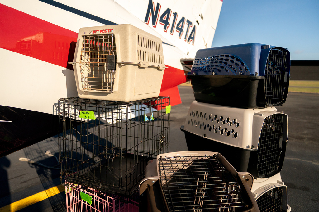 Pet crates, including one that survived a fatal crash in November 2024, are stacked up beside a plane, Nov. 23, 2025, at Culpeper Regional Airport in Brandy Station, Va. (AP Photo/Allison Robbert)