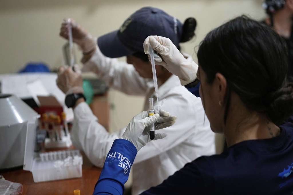 Scientists examine blood samples that were drawn from pink river dolphins in the Amazon River to determine mercury levels in Puerto Narino, Colombia, Sunday, Sept. 7, 2025. (AP Photo/Fernando Vergara)