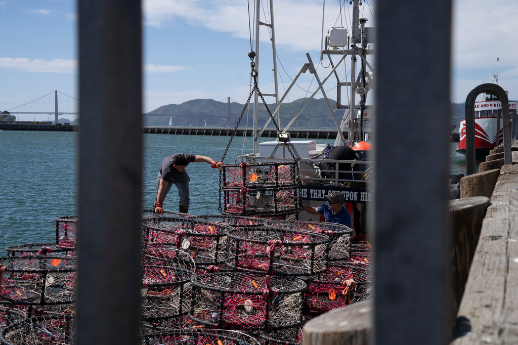 FILE - Hunter Nguyen, right, and Jonathan Tin, load crab traps, pop-up gear aimed at preventing whale entanglements, onto the boat Pale Horse at Pier 45 in San Francisco, April 10, 2025. (AP Photo/Emily Steinberger, File)