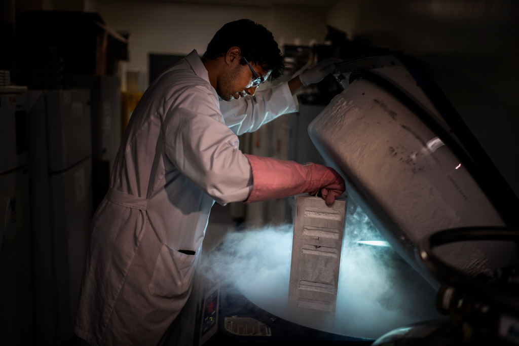 Researcher Manav Jain poses for a portrait while pulling human T-cells from a liquid nitrogen storage tank in a biomedical engineering lab at Johns Hopkins University in Baltimore, Md., Tuesday, May 13, 2025. Jain helps design biodegradable nanoparticles that could deliver new treatments for autoimmune diseases, making sure they're the right size to reach rogue immune cells in different parts of the body. "I think the engineering thing that I feel was drilled into me from day one is thinking about identifying problems and then figuring out how to pinpoint what needs to be solved or improved upon. It's small baby steps that then amount to big steps. The field that I work in has moved quite fast. I think it's really exciting seeing what's coming out." (AP Photo/David Goldman)