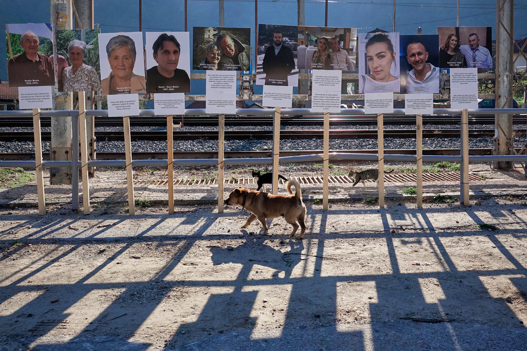 A dog and two kittens walk by photographs of victims, a year after floods and a landslide swept through the tiny village of Donja Jablanica in southern Bosnia, killing 19 people, Saturday, Oct. 4, 2025. (AP Photo/Eldar Emric)