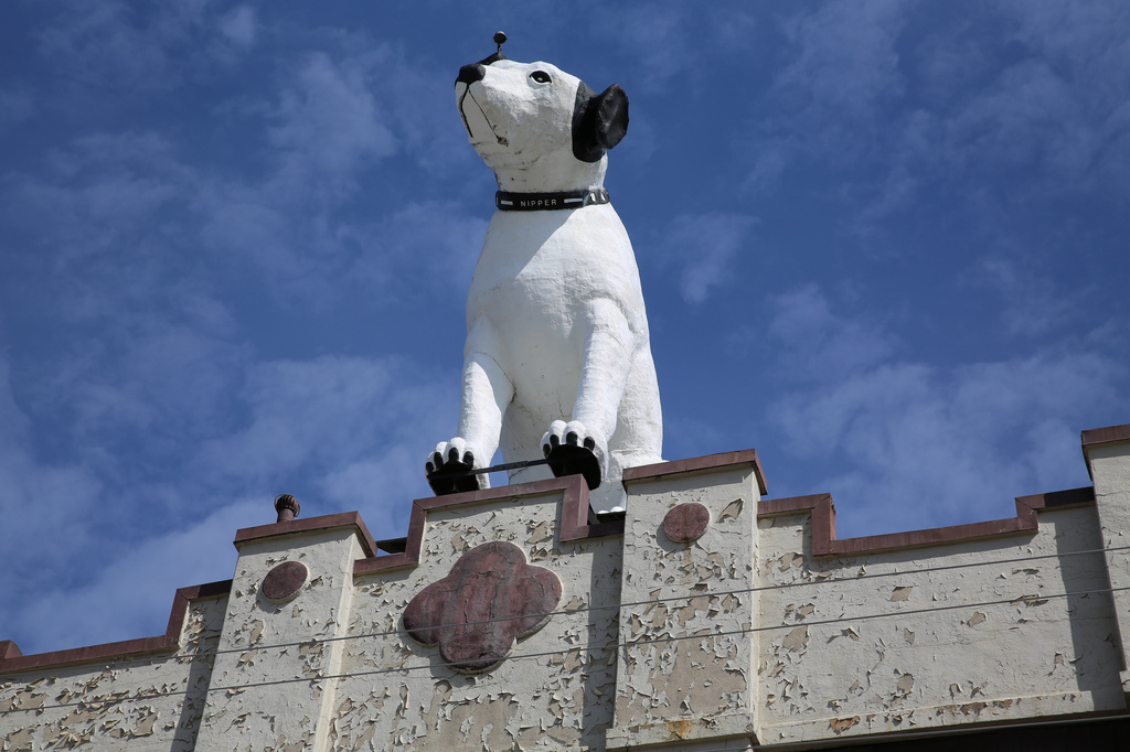A giant statue of Nipper the dog sits atop of building in the warehouse district in Albany, N.Y., Tuesday, April 21, 2026.(AP Photo/Michael Hill)