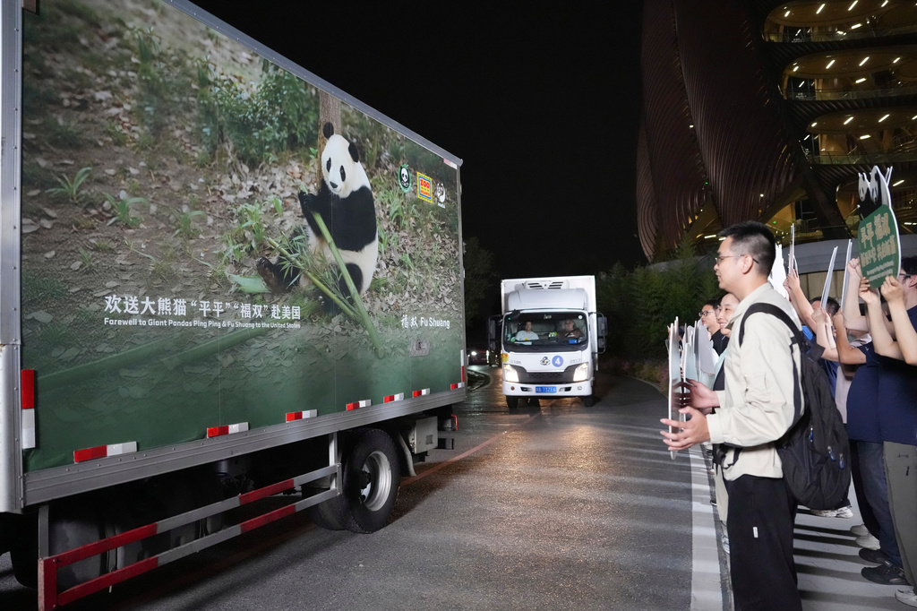 In this photo released by Xinhua News Agency, vehicles carrying a pair of giant pandas, Ping Ping and Fu Shuang, leave the Chengdu Research Base of Giant Panda Breeding in Chengdu, southwestern China's Sichuan Province, Saturday, Sept. 26, 2026.(Xu Bingjie/Xinhua via AP)