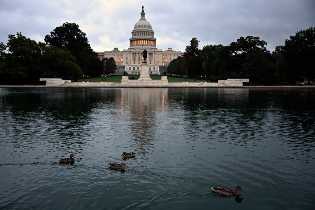Ducks swim at daybreak in the U.S. Capitol Reflecting Pool during the 8th day of the government shutdown on Wednesday, Oct. 8, 2025, in Washington. (AP Photo/John McDonnell)