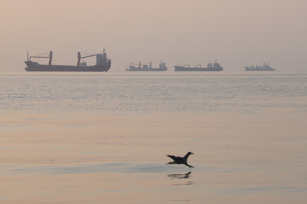 A bird flies low over the water as cargo ships lie at anchor in the Strait of Hormuz off Bandar Abbas, Iran, early Saturday, Oct. 24, 2026. (Amirhosein Khorgooi/ISNA via AP)